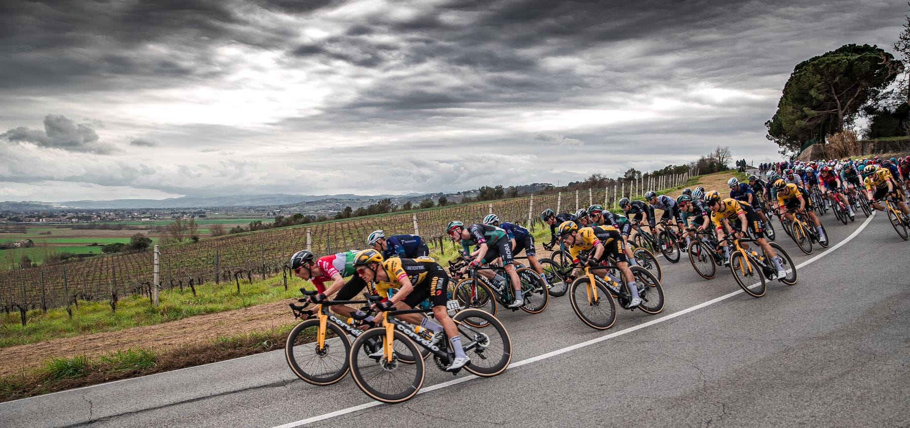 Corsa Pro Black Tan G2.0 Tubular Tyre Vittoria