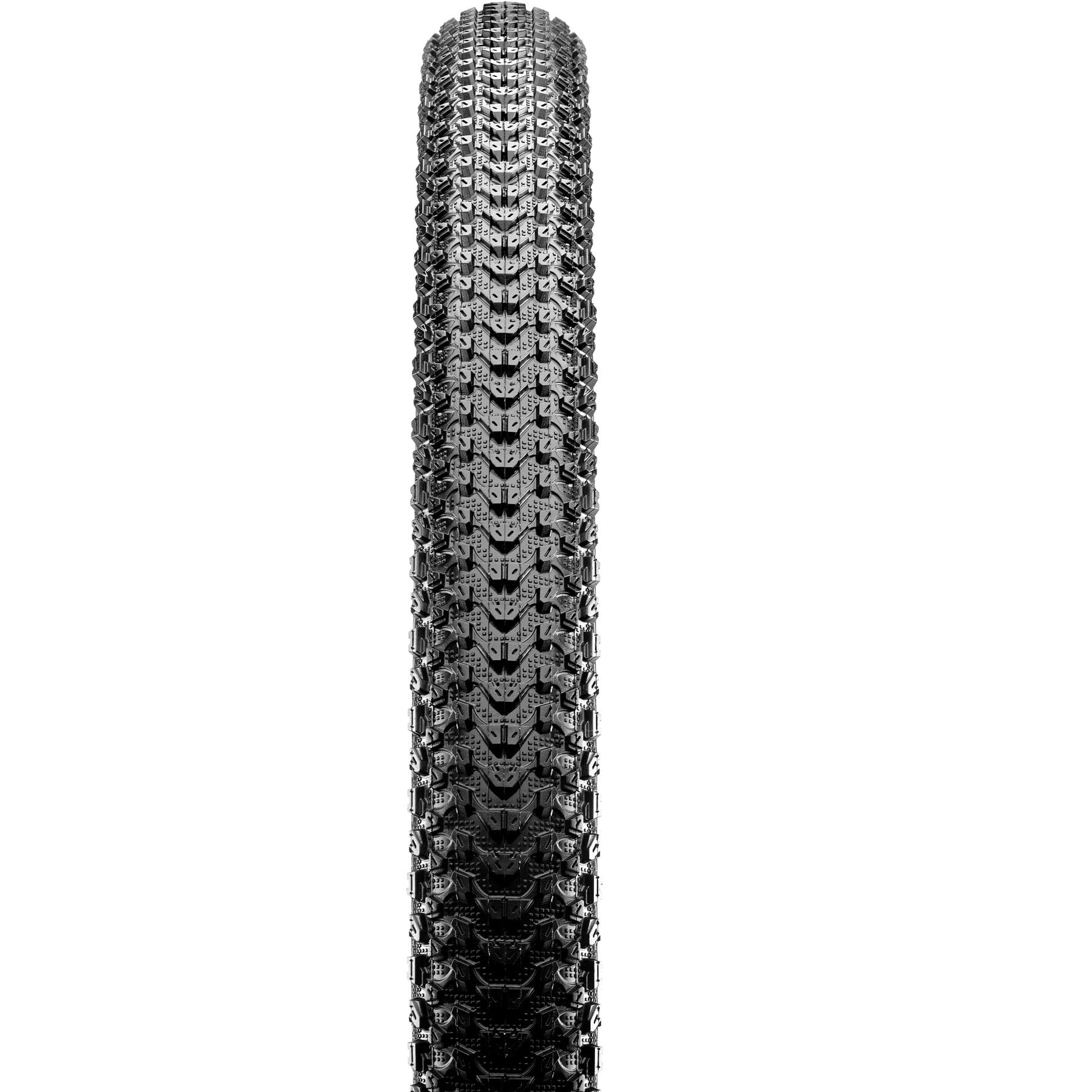 Pace X 2.10 60 Tpi Folding Compound Tyre Maxxis